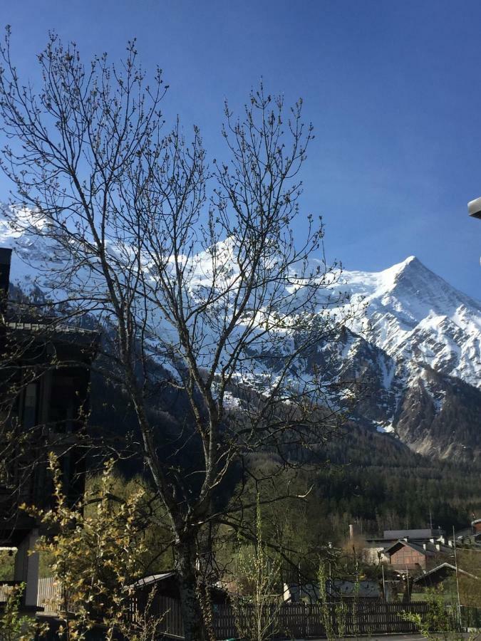 Grand Paradis Chamonix Mont Blanc Exterior foto